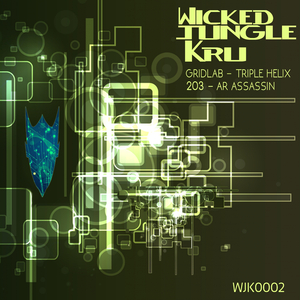 AR Assassin (Original Mix)