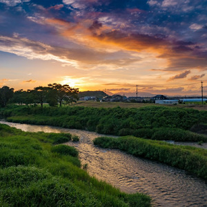 河川敷