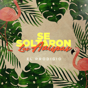 Cojelo Suave