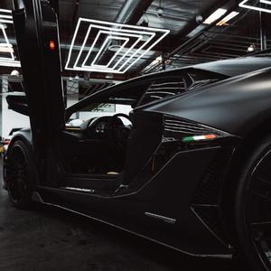 精彩飞sir-V12 Roar（LiuPeanut remix）