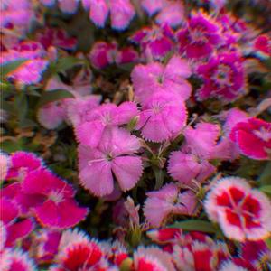 Sweet (feat. Rich Flaco)