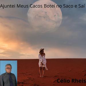 Ajuntei Meus Cacos Botei no Saco e Saí