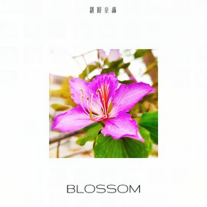 BLOSSOM(像花一样美丽）
