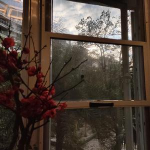 【Free】“LEAVE”