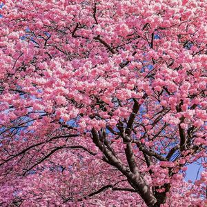 《你走过的路通往明亮远方》小狼