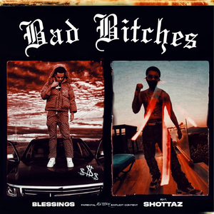 Bad Bitches (feat. Shottaz & Zonedoutrecords)