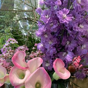 我可以不在乎的你