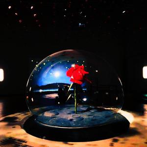 我想做对你而言那朵独一无二的玫瑰花但是我骗了你