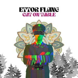 CRAZY BIRDS (Original mix)