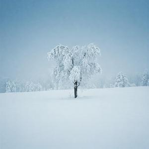 창밖의 눈, 마음속의 눈