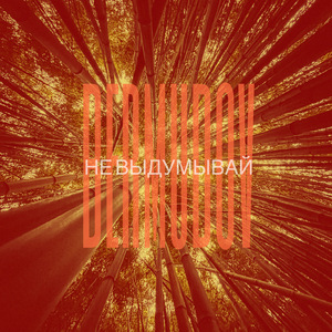 Не выдумывай
