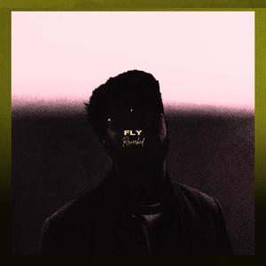 Fly (Reverbed)