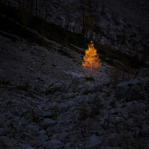 Lightness