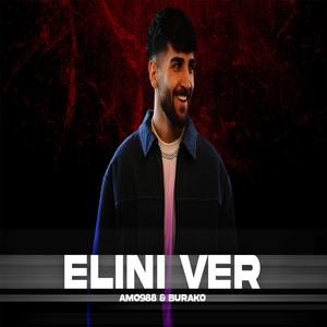Elini Ver