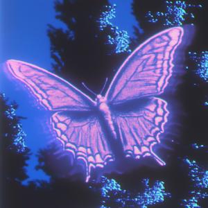 Whisperwind (Slowed)