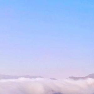 不在深夜里徘徊