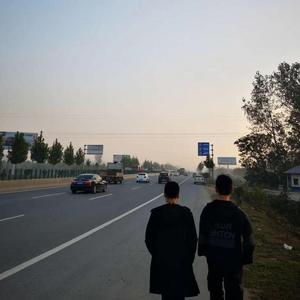 古筝计划Guzheng plan