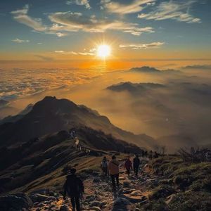 雨夜孤独的叹息