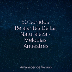 Brilloso Serenidad al Amanecer