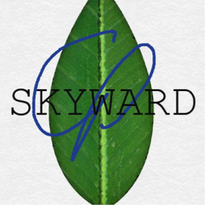 Borrowed (feat. Lorraine Mihaliak)