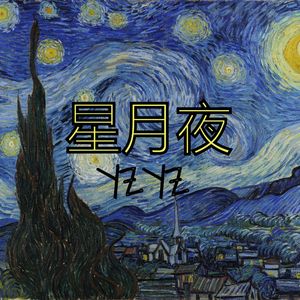 星月夜-sky in the night