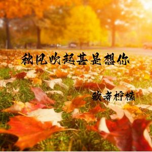 秋风吹起甚是想你