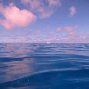 mirror（翻自 阿达娃）