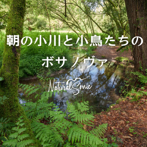 Reflections in the Ripples