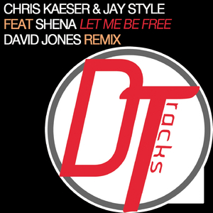 Let Me Be Free (David Jones Remix)