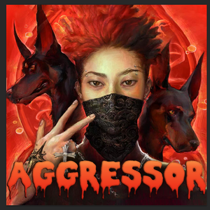 Aggressor