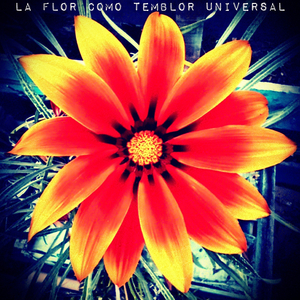 La Flor Como Temblor Universal