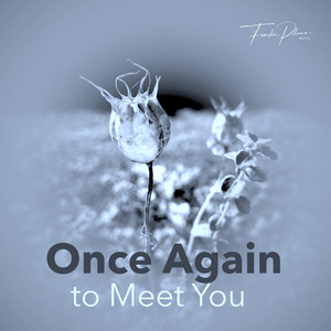 Once Again to Meet You