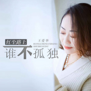 红尘路上谁不孤独 (DJ默涵版)