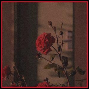 《致___的一封信》