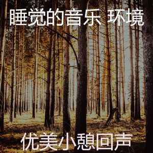 一尘不染小憩印象数
