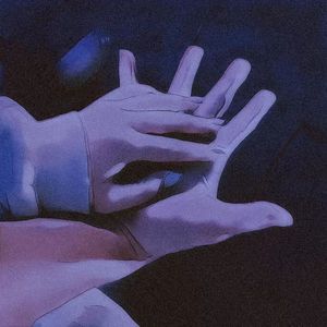 追随者效应理论