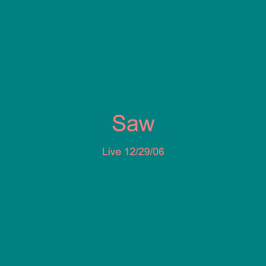 Saw 12/29/06