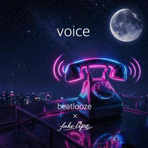 voice (feat. fake lipz)
