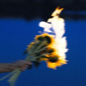 世间美好与你环环相扣（live）