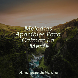 Abrazo de Armonía Meliflua