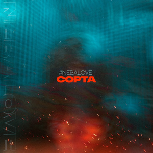 Сорта