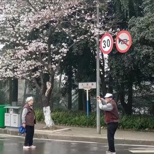 我的果汁分你一半