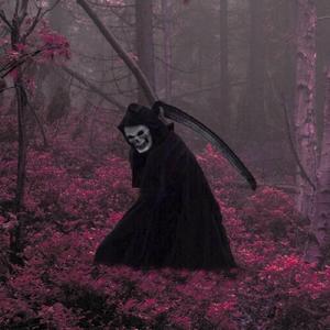 Reap (feat. Vision4k)