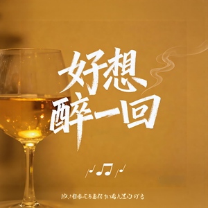 好想醉一回