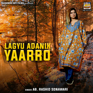 Che Kaza Chuk Na Nazar Divan Aani