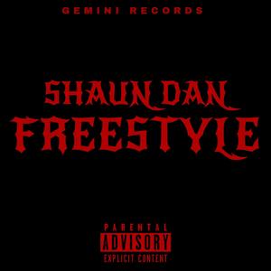 FreeStyle (feat. Shaun Dan)