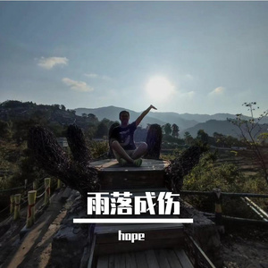 雨落成伤