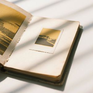 只剩回忆没退场