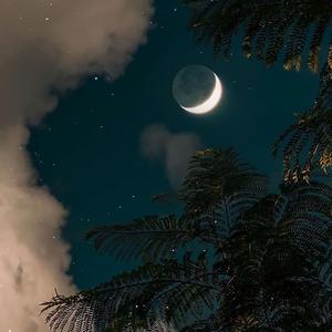 粉红法拉利（covered by 贝贝）