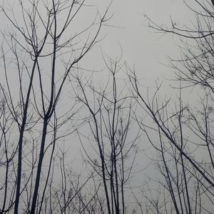 她的掉了我的还在